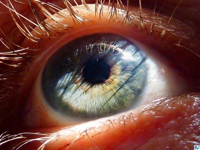 close-up of a human eye