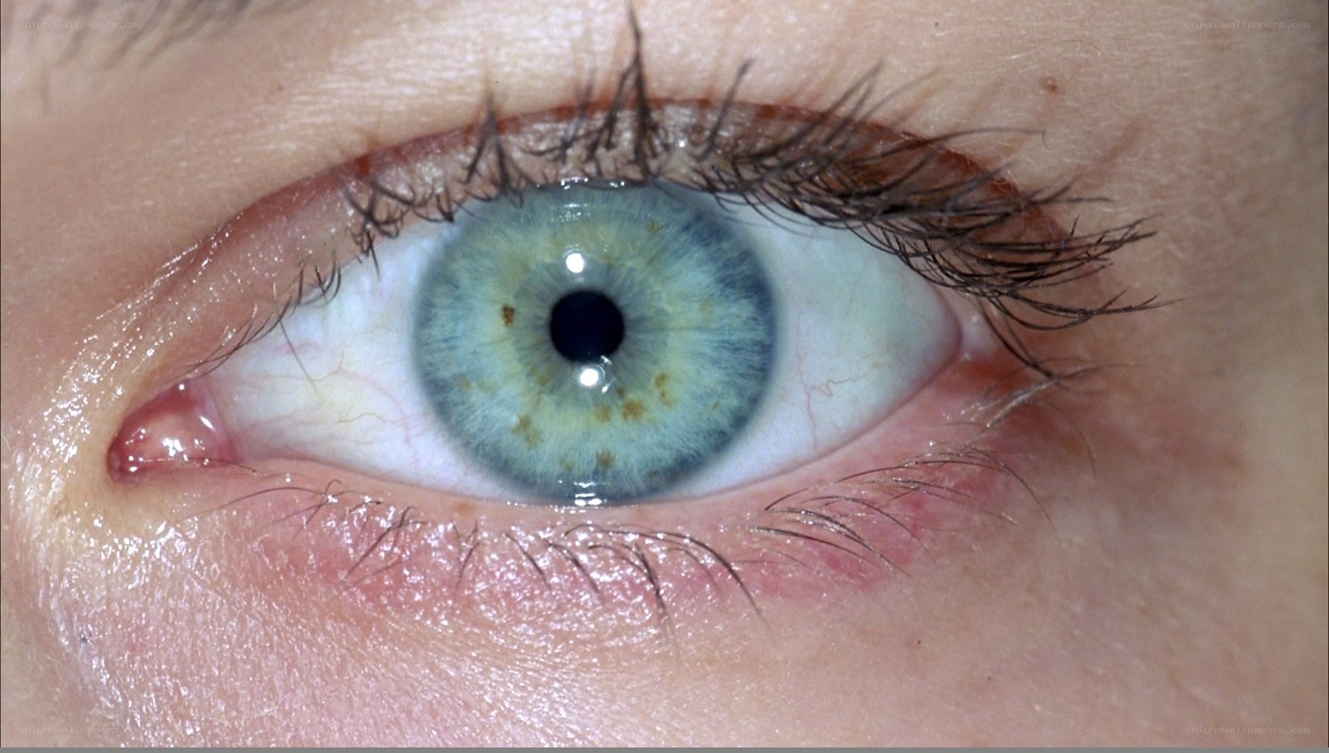 close-up of a human eye