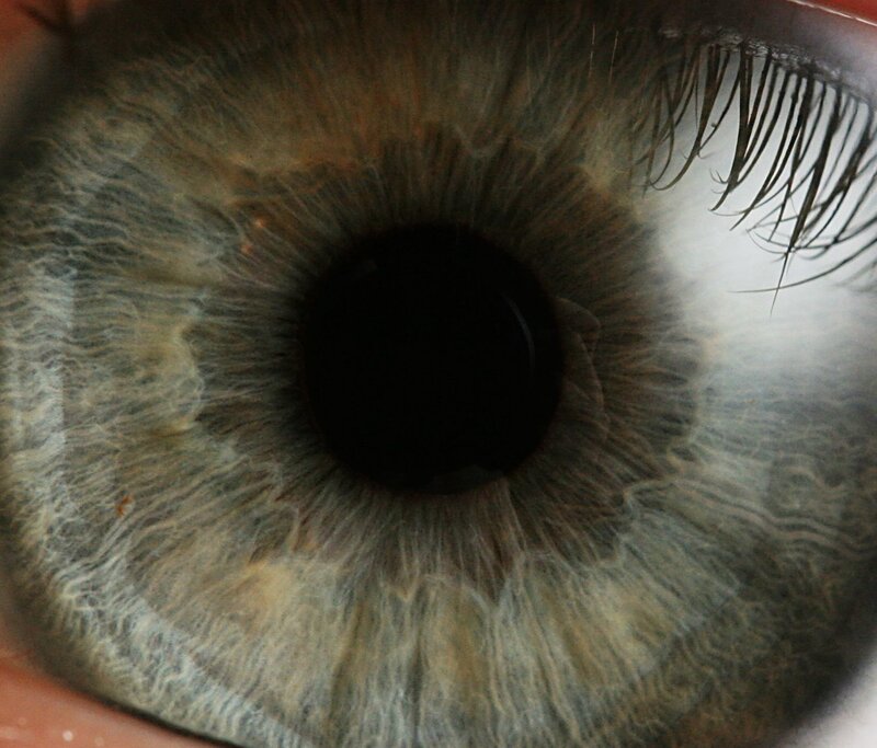 close-up of a human eye