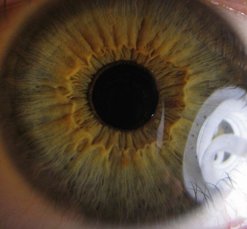 close-up of a human eye