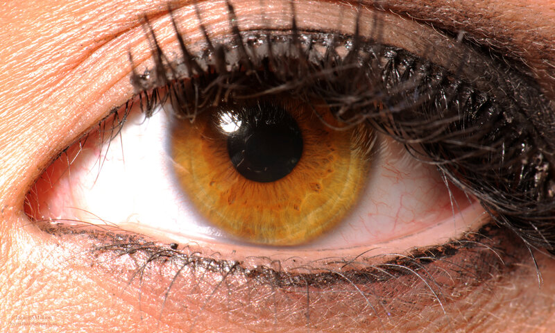 Close-up of a human eye