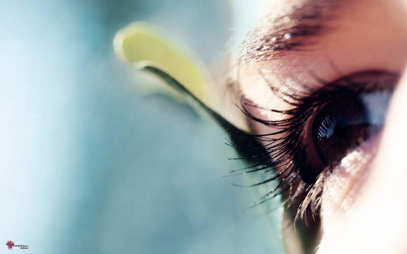 close-up of a human eye