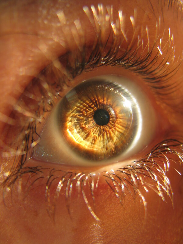 close-up of a human eye