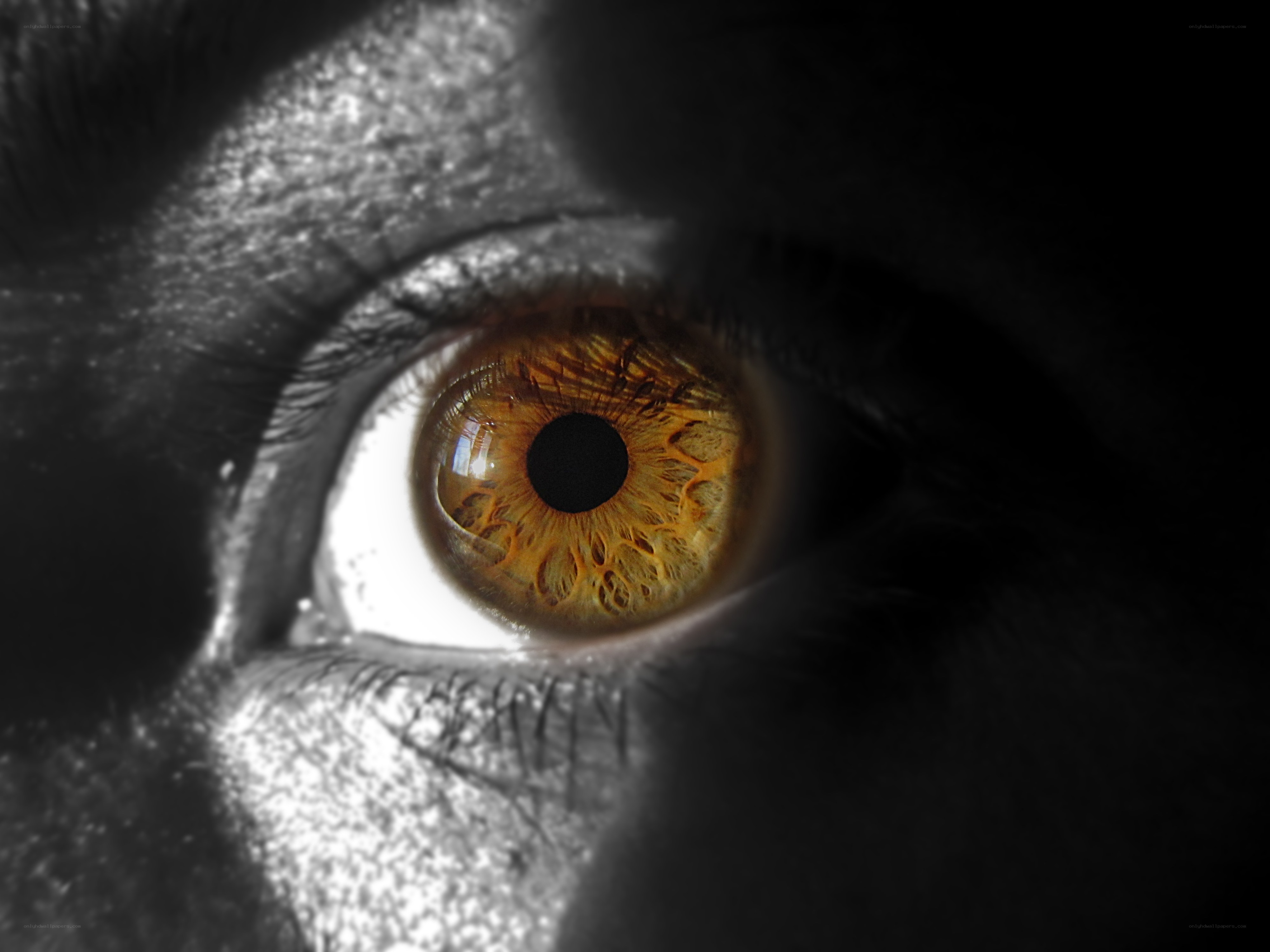 close-up of a human eye
