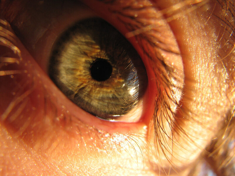 close-up of a human eye