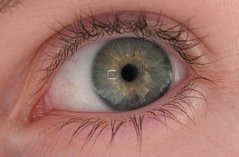 close-up of a human eye