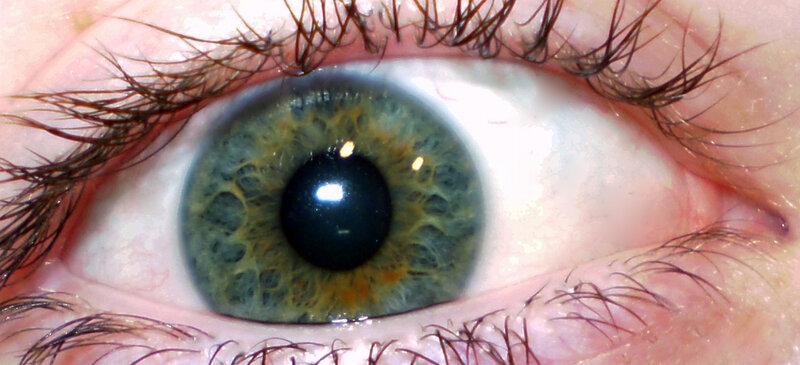 close-up of a human eye