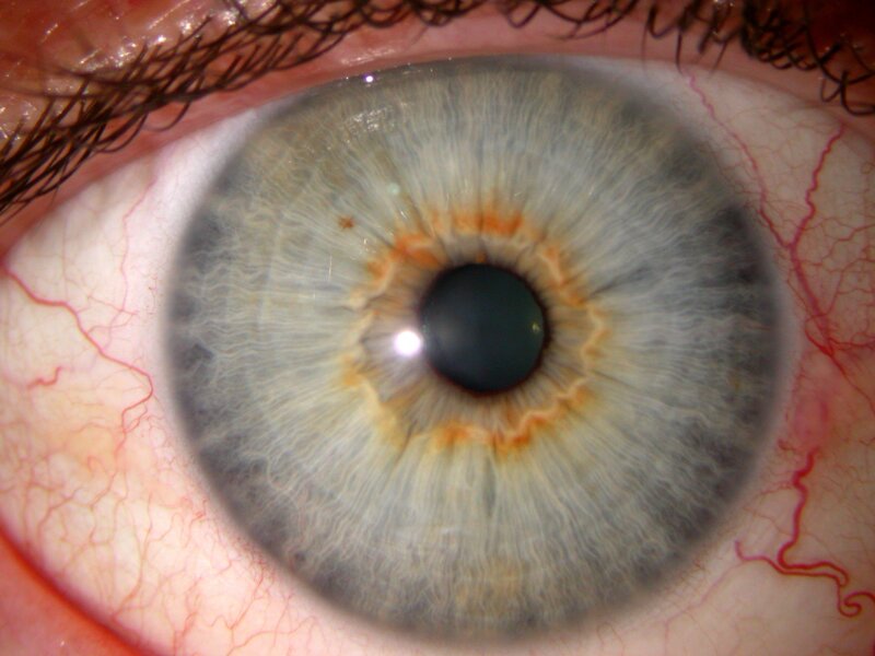 close-up of a human eye
