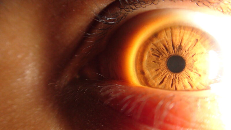 close-up of a human eye
