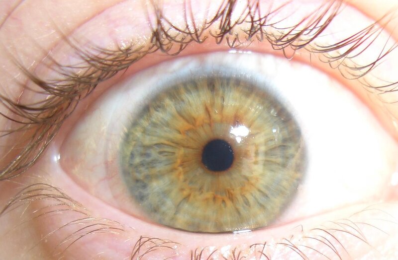 close-up of a human eye