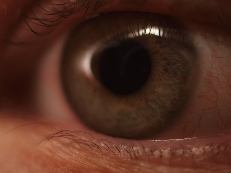 Close-up of a human eye
