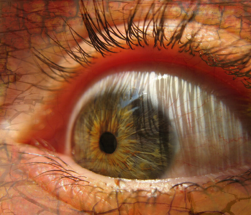 Close-up of a human eye