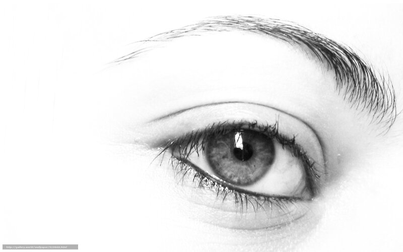 Close-up of a Human Eye — Black, Neutral