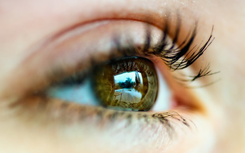 Close-up of a Human Eye — Brown, Calm, Photograph