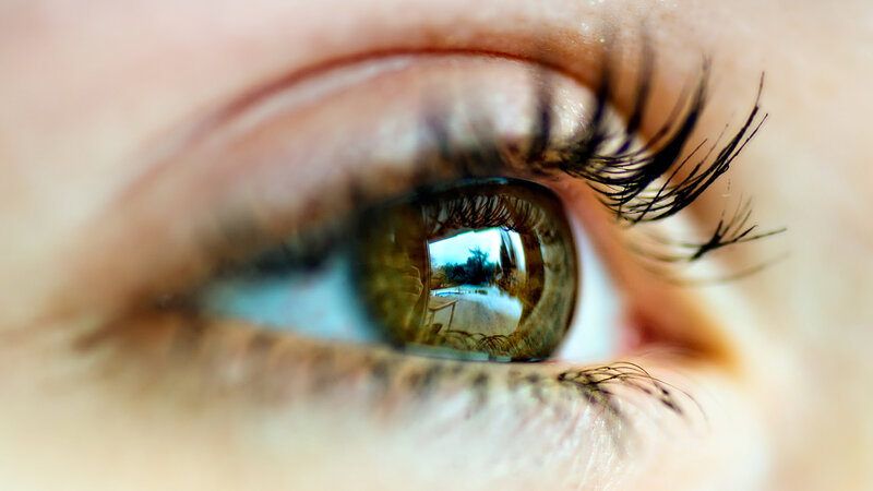 Close-up of a Human Eye — Brown, Calm