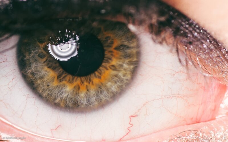 Close-up of a Human Eye — Brown, Detailed, Photograph