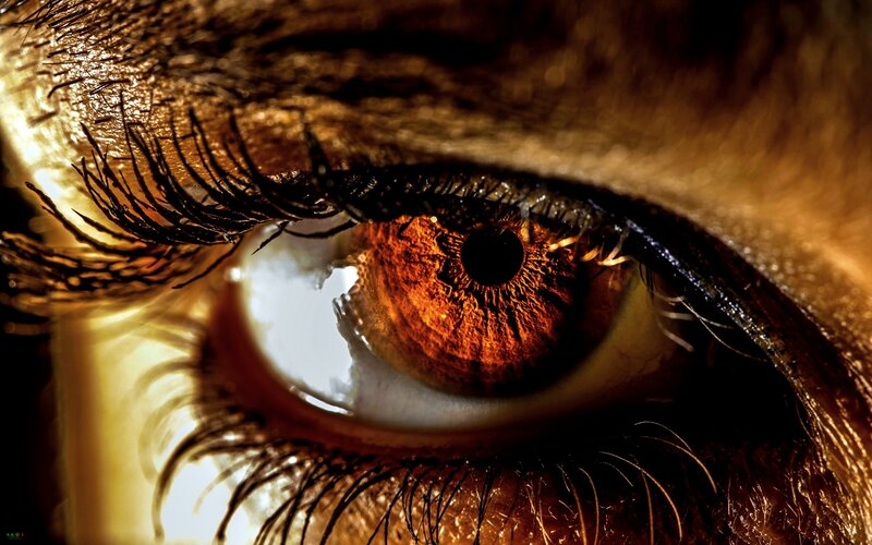 Close-up of a Human Eye — Brown, Dramatic, Photograph, Eyelash, Iris