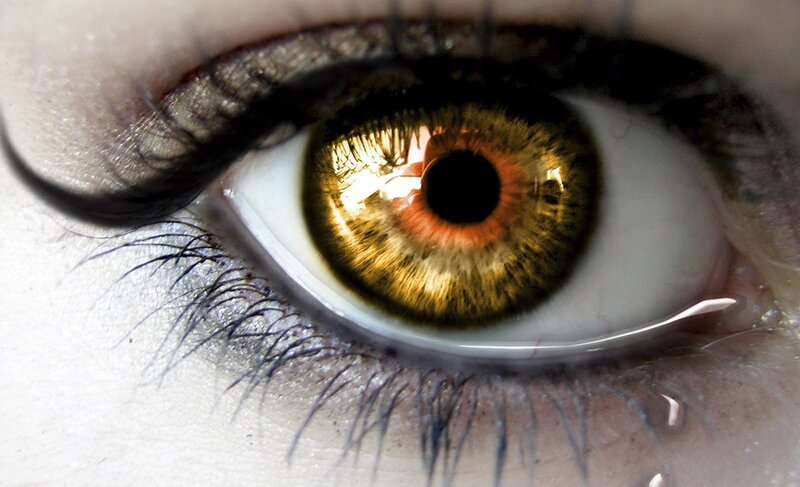 Close-up of a Human Eye — Brown, Dramatic, Photograph, Eyelash, Tear