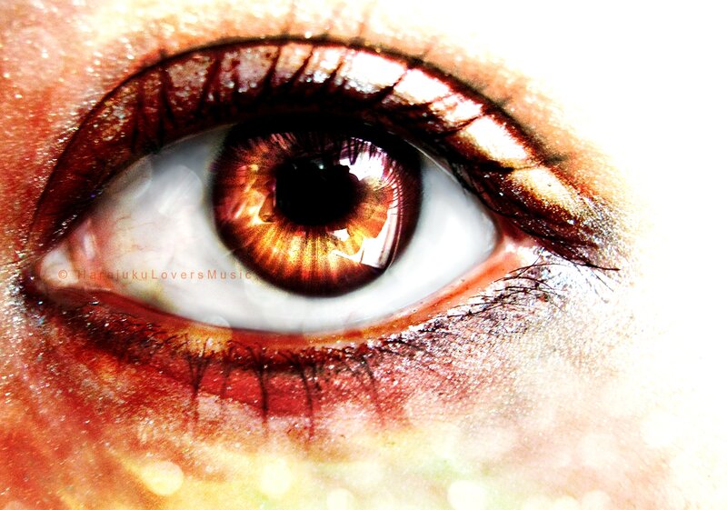 Close-up of a Human Eye — Brown, Dramatic, Photograph, Eyelashes, Iris
