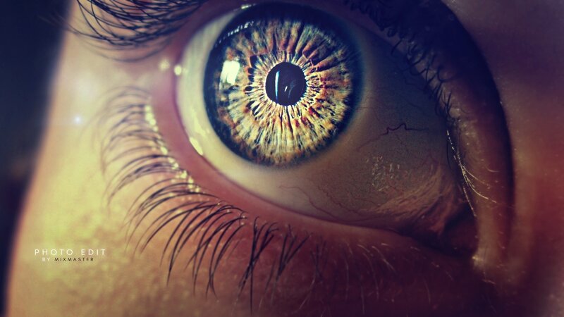 Close-up of a Human Eye — Brown, Dramatic, Photograph, Iris, Eyelash