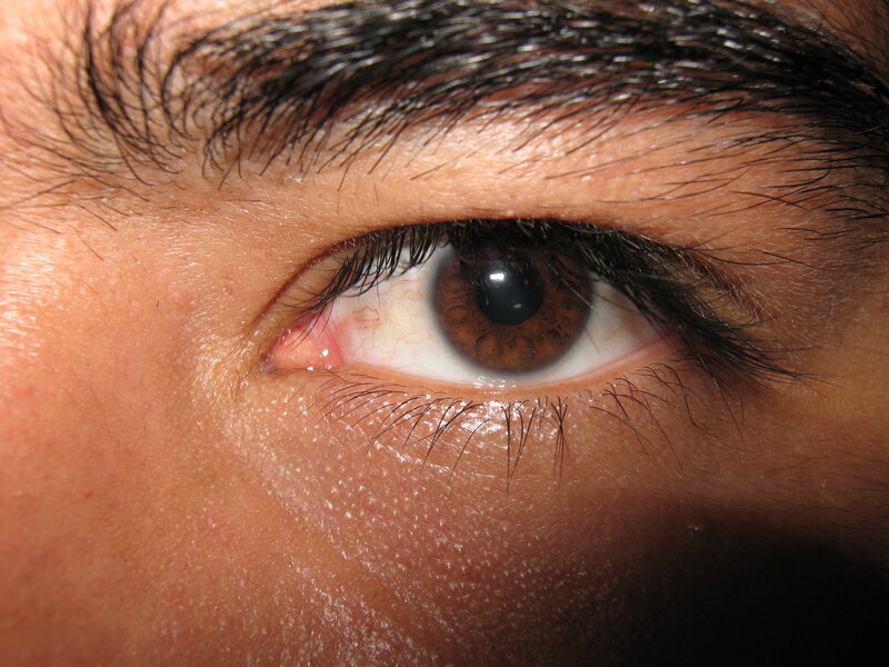 Close-up of a Human Eye — Brown, Neutral, Photograph, Eyebrow, Eyelash