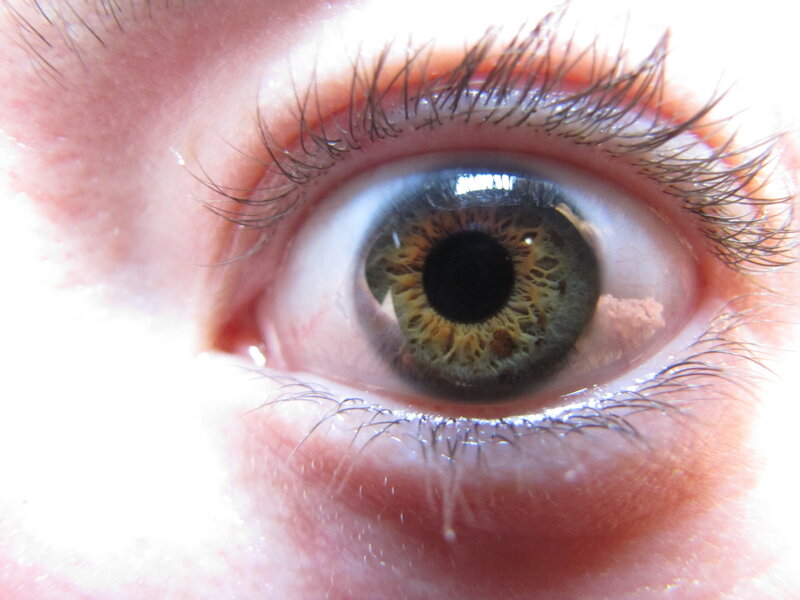Close-up of a Human Eye — Brown, Neutral, Photograph, Eyelashes, Iris, White