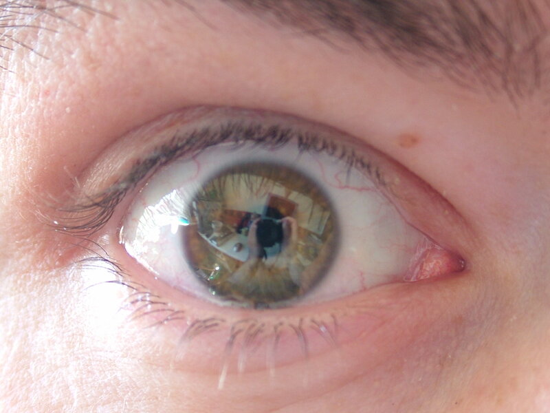 Close-up of a Human Eye — Brown, Neutral, Photograph, Eyelashes, Reflection, White