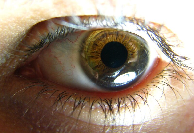 Close-up of a Human Eye — Brown, Neutral, Photograph, Eyelashes