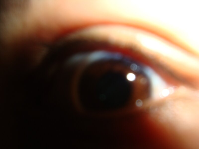Close-up of a Human Eye — Brown, Neutral, Photograph