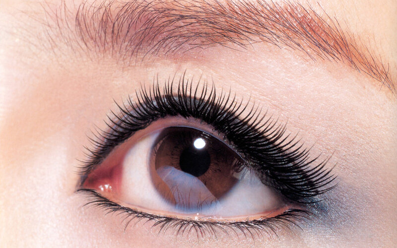 Close-up of a Human Eye — Brown, Neutral