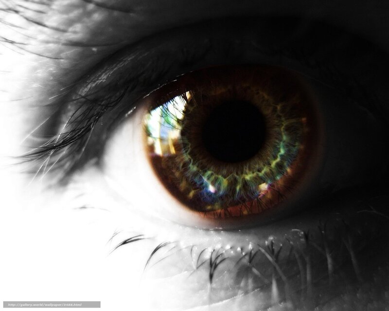 Close-up of a Human Eye — Brown