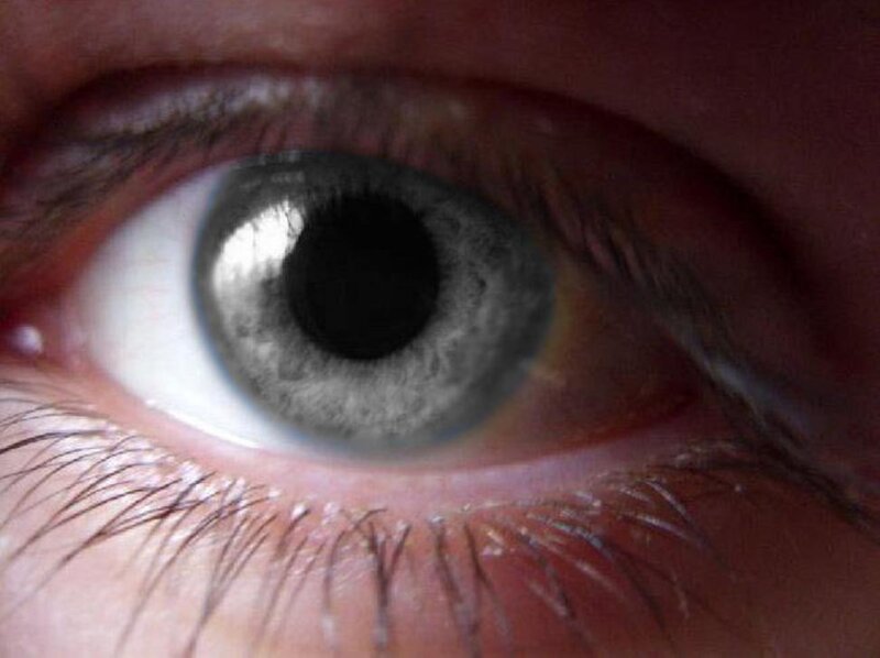 Close-up of a Human Eye — Gray, Neutral