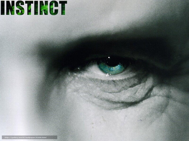 Close-up of a Human Eye — Green, Dramatic, Photograph