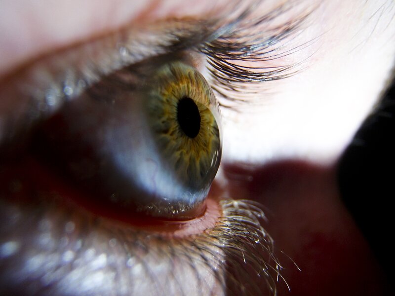 Close-up of a Human Eye — Green, Intense