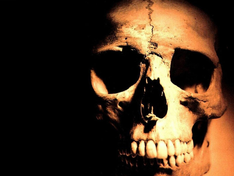 close-up of a human skull