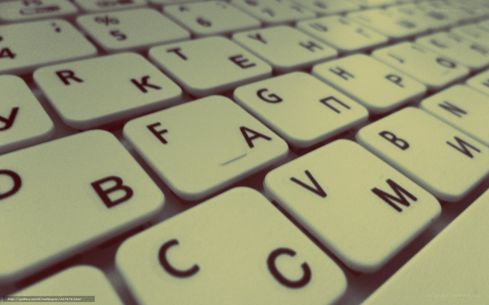 close-up of a keyboard