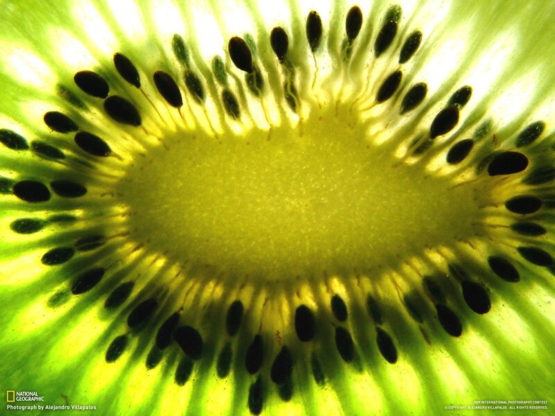 Close-up of a kiwi slice