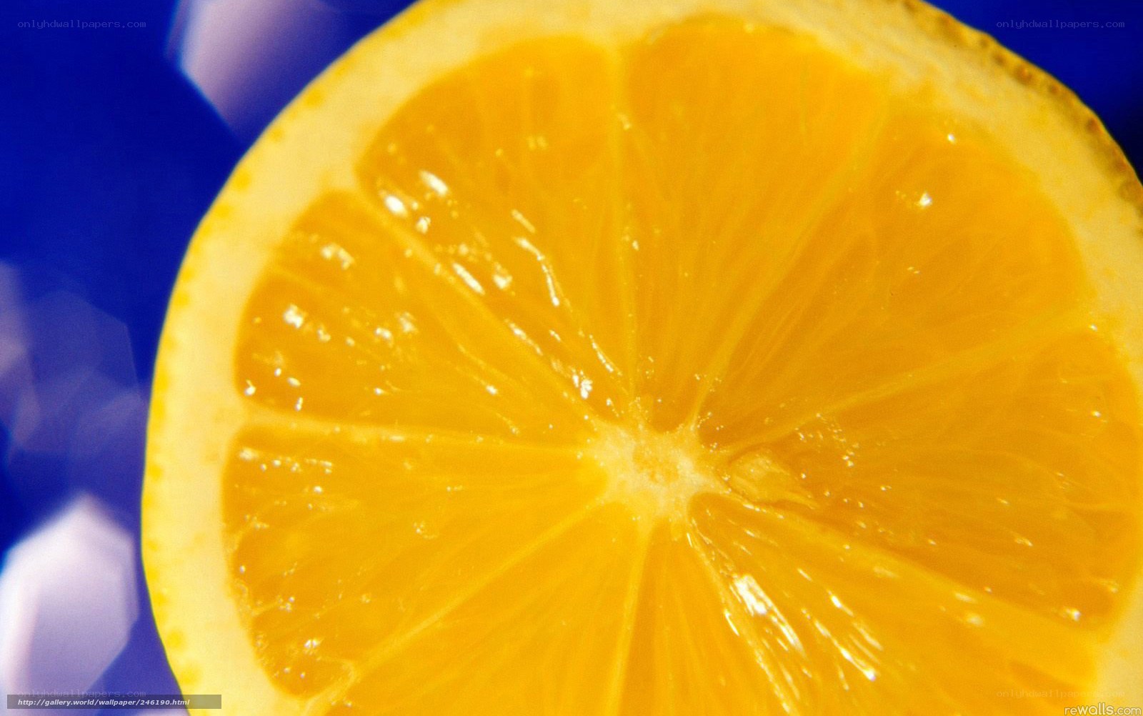 close-up of a lemon slice