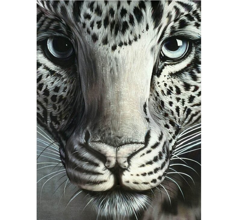 Close-up of a Leopard's Face — Black