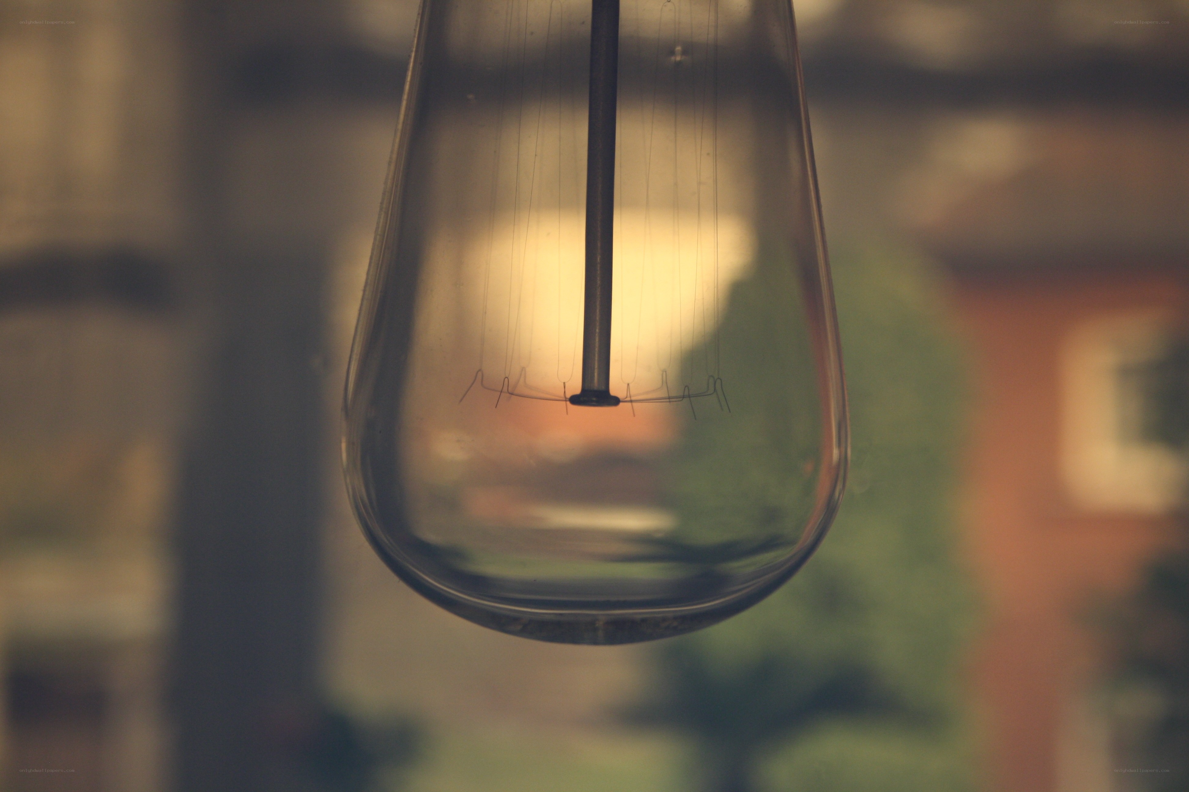 Close-up of a light bulb
