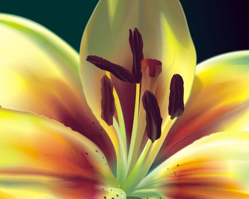 Close-up of a Lily Flower — Yellow