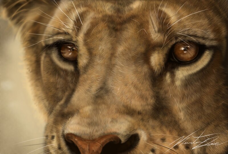 close-up of a lion's face