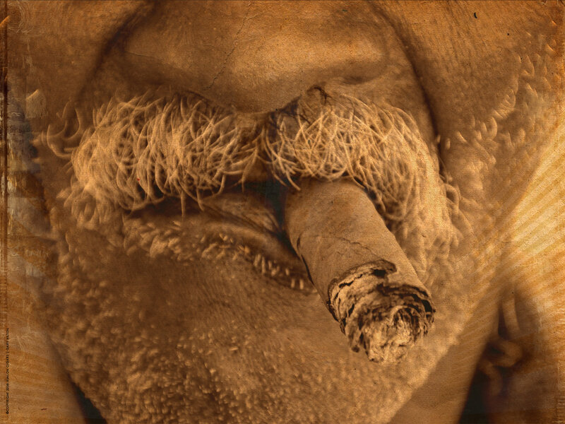 close-up of a man's face with cigar