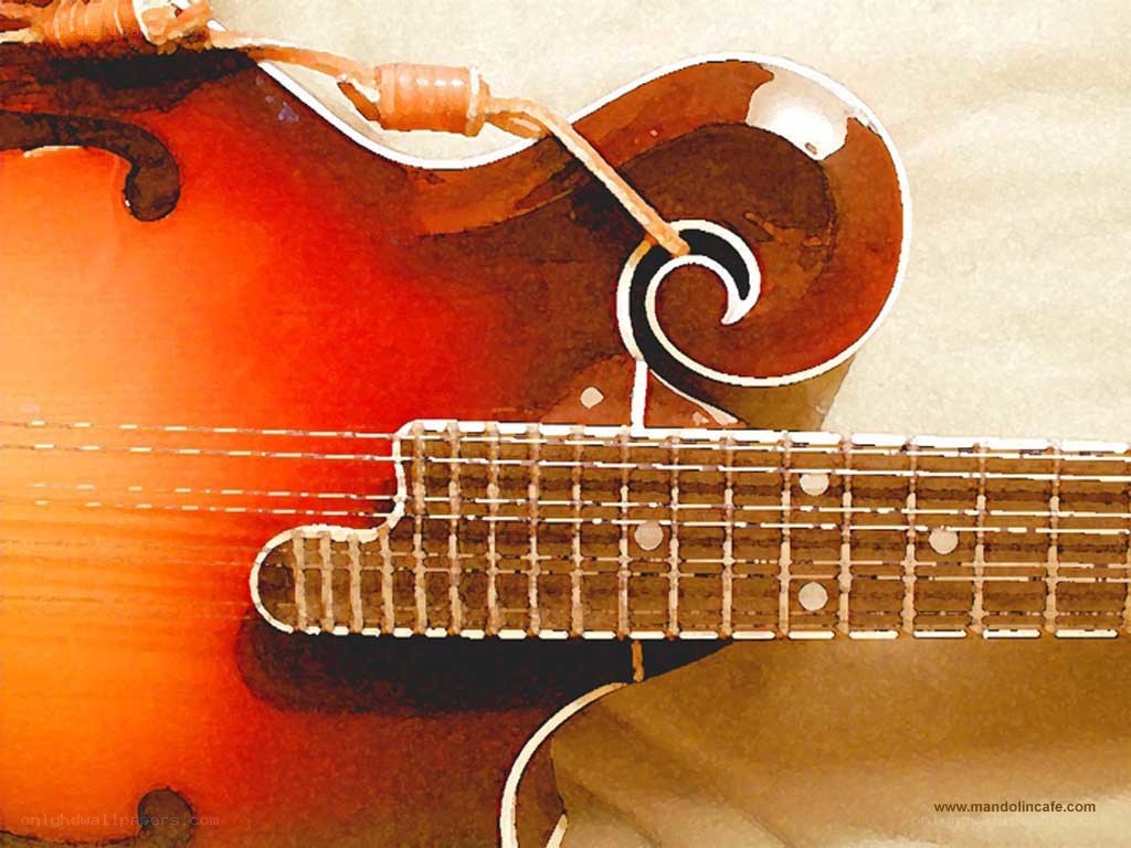 Close-up of a mandolin