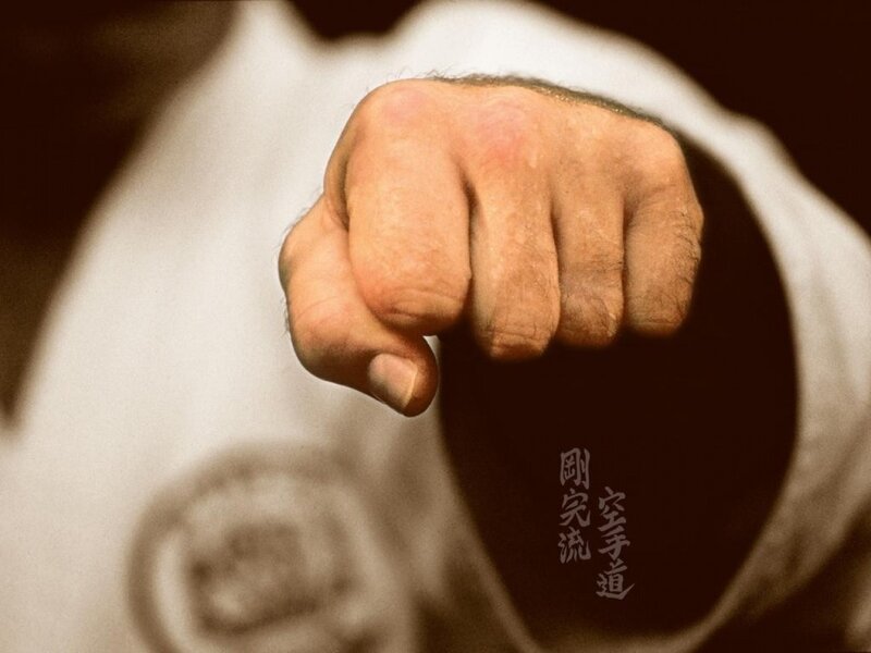 close-up of a martial arts fist