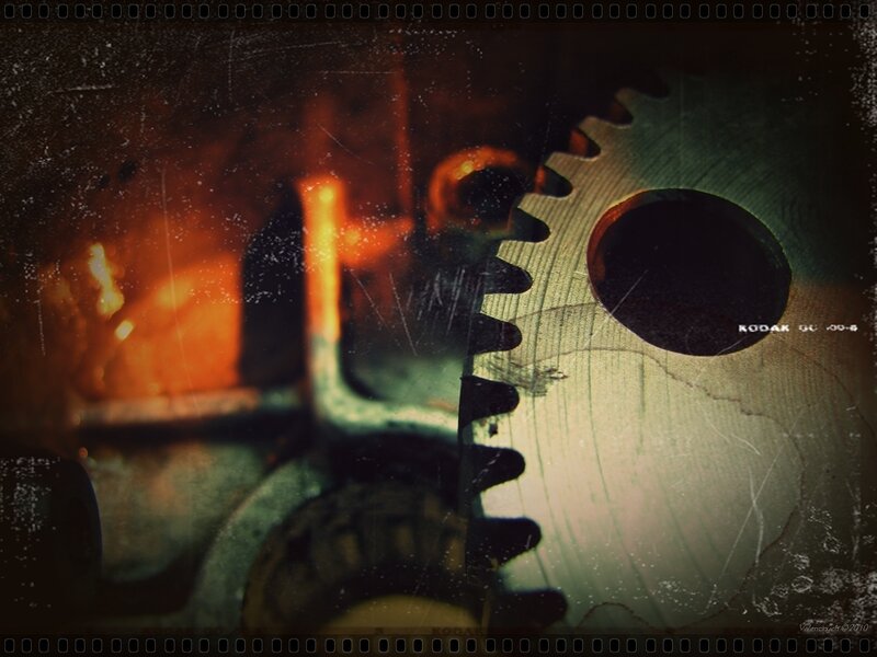 Close-up of a mechanical gear