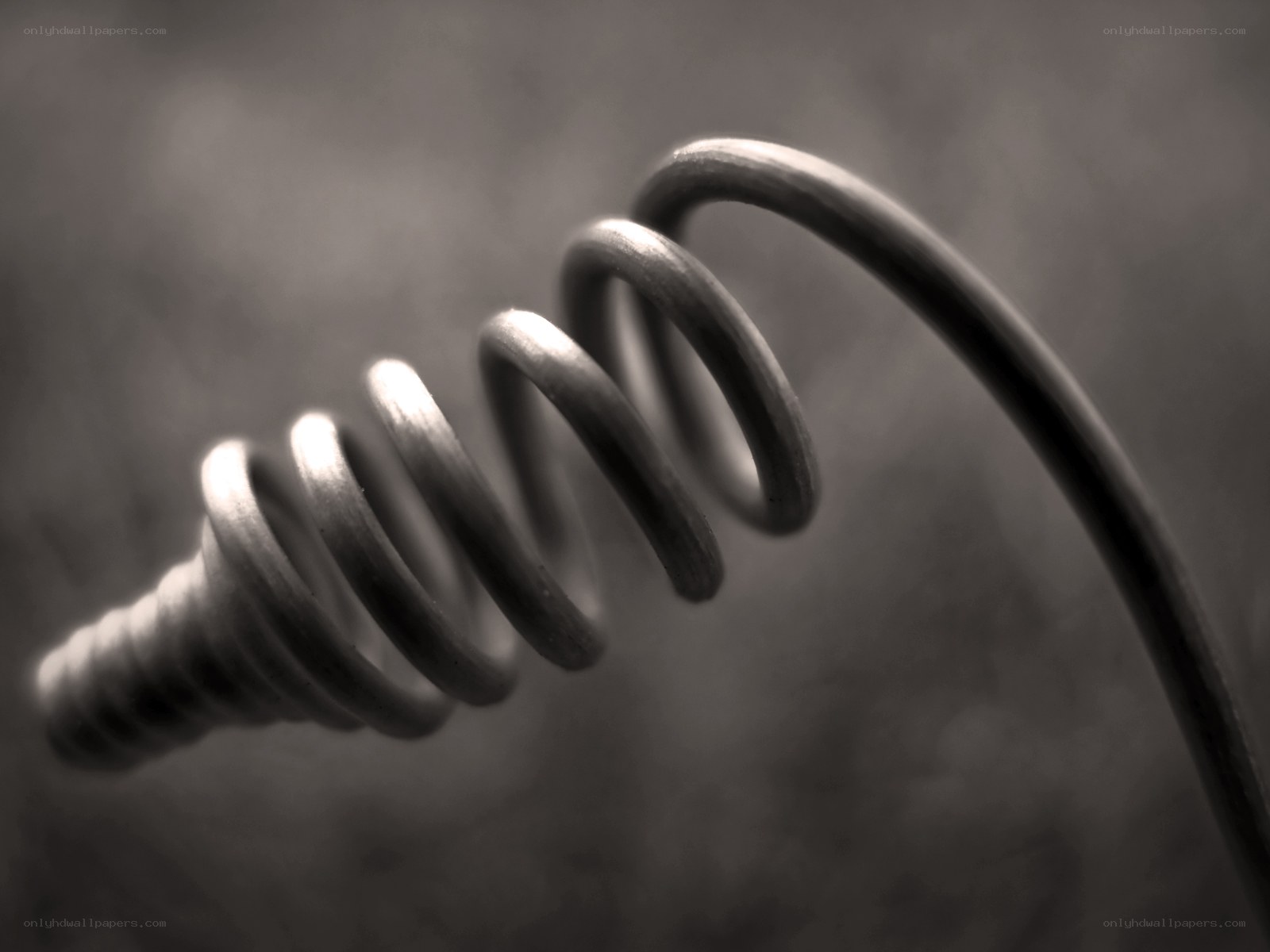 Close-up of a metal spring
