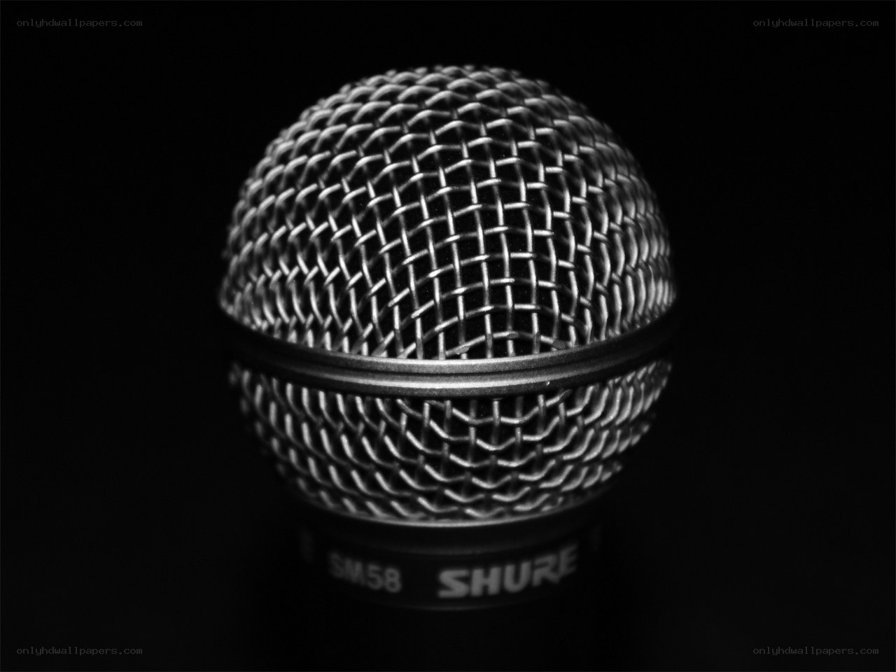 close-up of a microphone