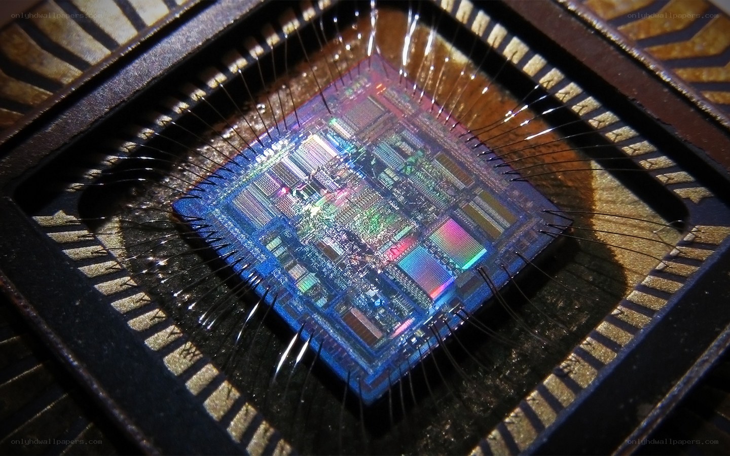 Close-up of a microprocessor chip