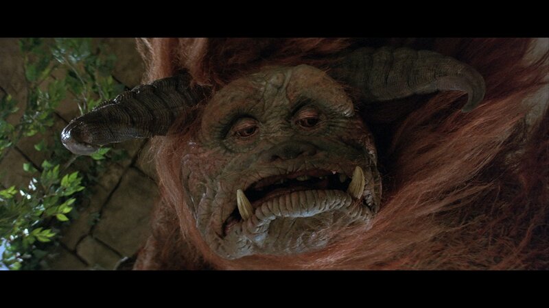 close-up of a monster face